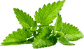 在线手机号轰炸测试